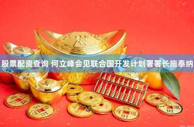 股票配资查询 何立峰会见联合国开发计划署署长施泰纳