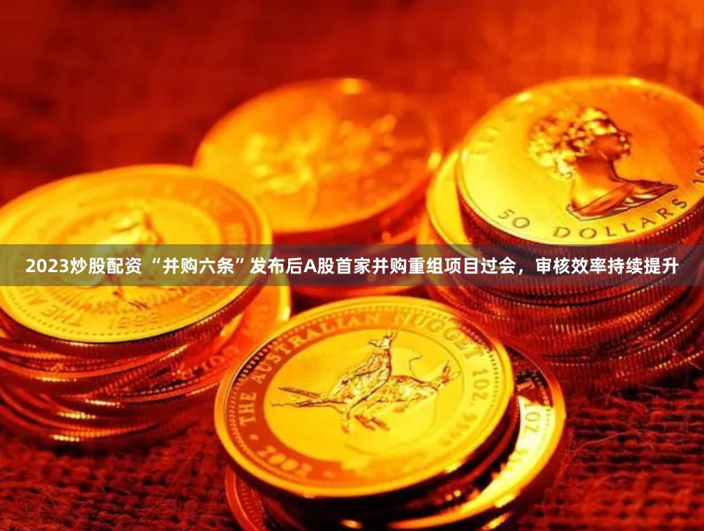 2023炒股配资 “并购六条”发布后A股首家并购重组项目过会，审核效率持续提升