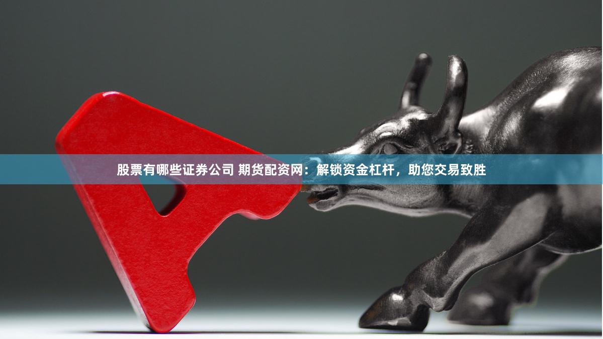 股票有哪些证券公司 期货配资网：解锁资金杠杆，助您交易致胜