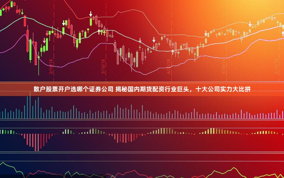 散户股票开户选哪个证券公司 揭秘国内期货配资行业巨头，十大公司实力大比拼