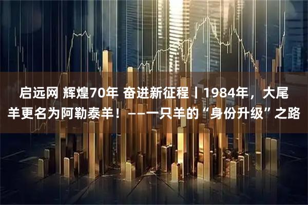 启远网 辉煌70年 奋进新征程丨1984年，大尾羊更名为阿勒泰羊！——一只羊的“身份升级”之路
