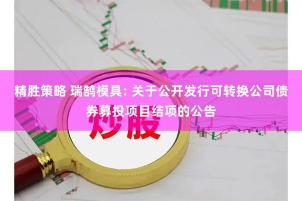 精胜策略 瑞鹄模具: 关于公开发行可转换公司债券募投项目结项的公告