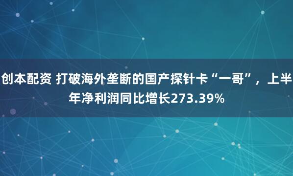 创本配资 打破海外垄断的国产探针卡“一哥”，上半年净利润同比增长273.39%